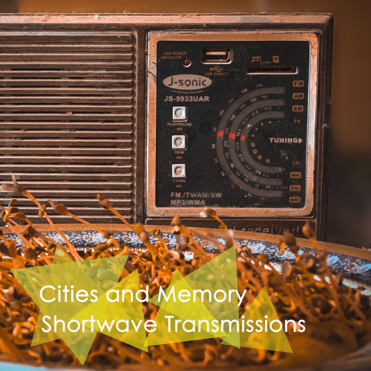 The Shortwave Radio Audio Archive