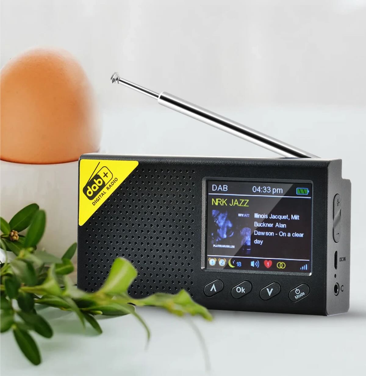 Mini DAB Radio in Black - Pink Pinewood